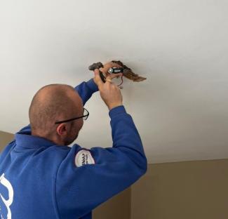 rewire in Harlow