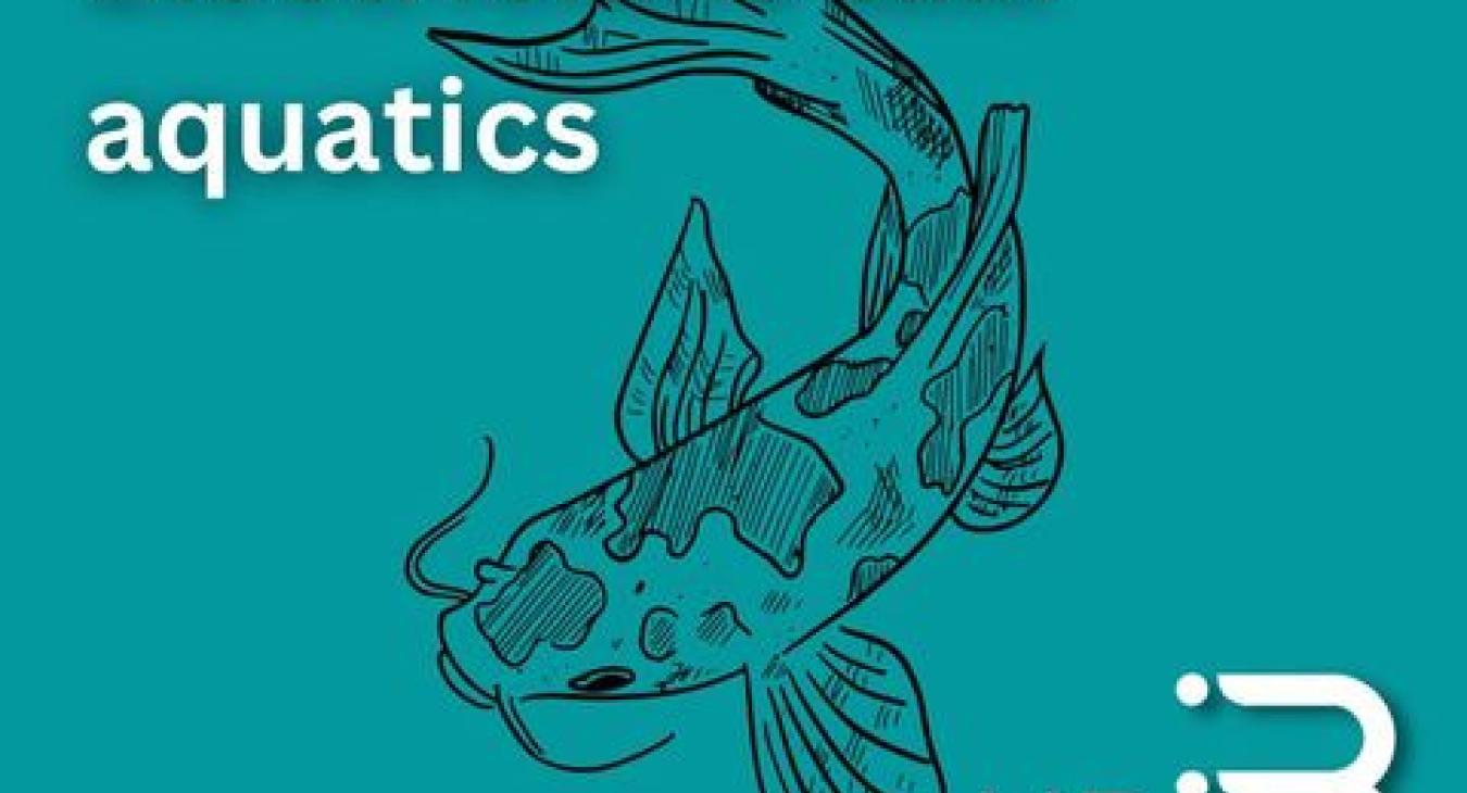 Electrician in Chestnut