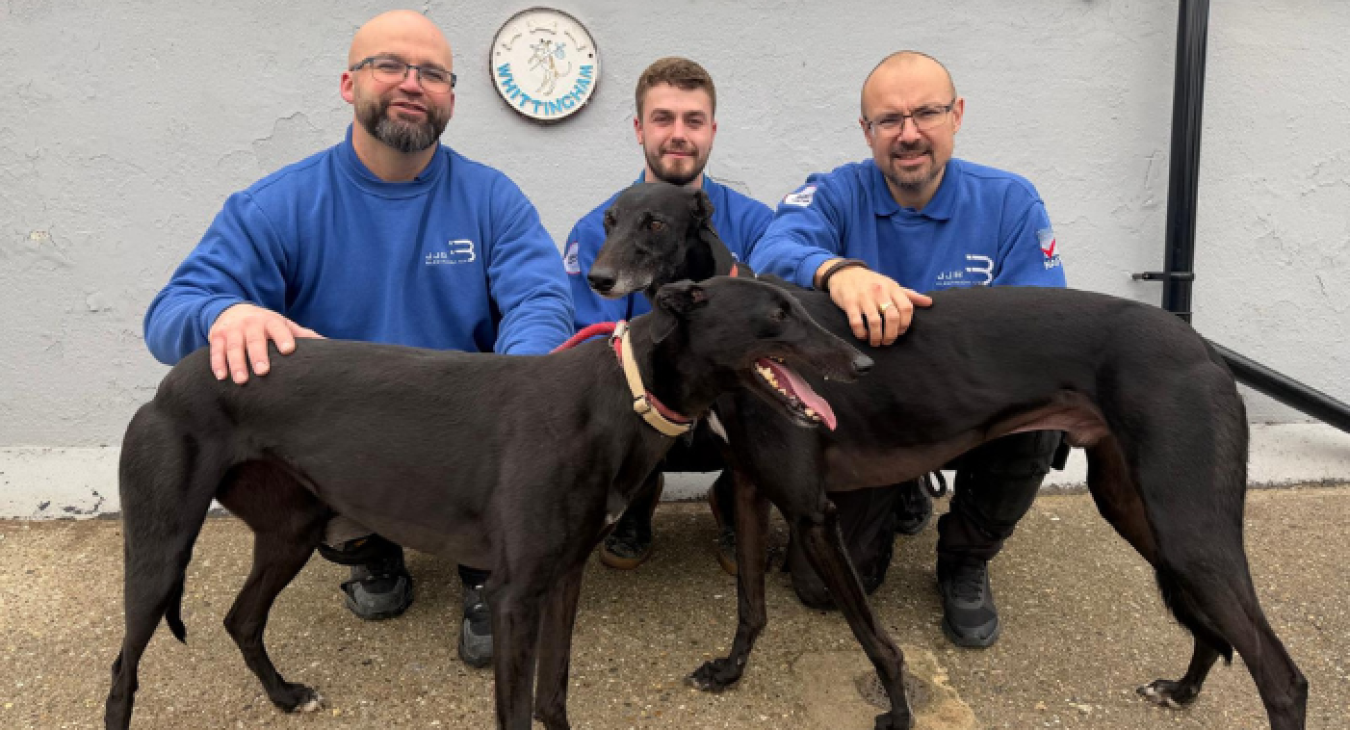 How to Tell If You’re Hiring the Best Electricians in Cheshunt