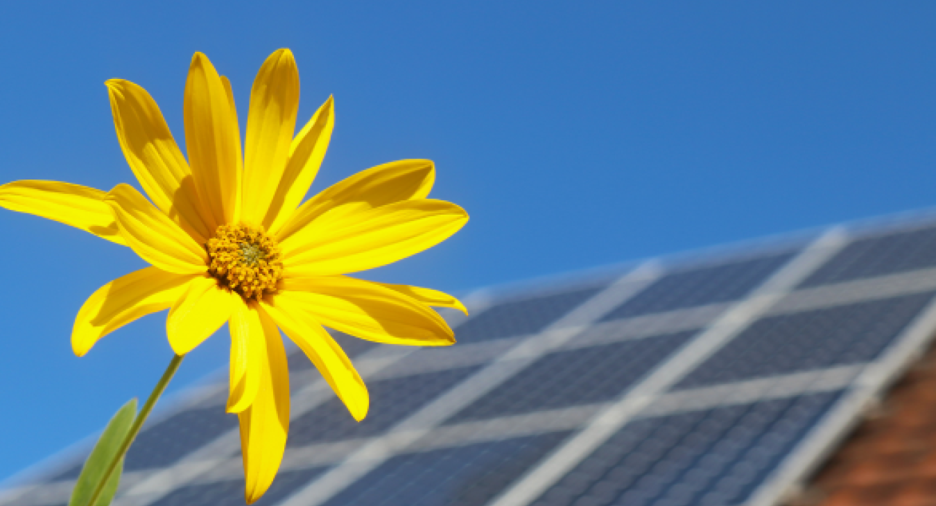 Installing Solar in a UK Home: What to Expect Before, During and After